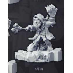 Gnome wizard sorcerer tome...